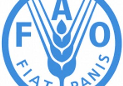 food-and-agriculture-organizatio