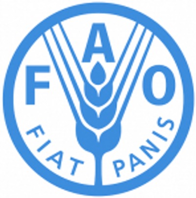 Nutrition Technical Specialist Food And Agriculture Organization (FAO)