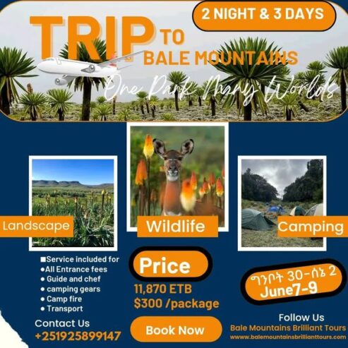 ADDIS ABABA: Hiking Tour to the Bale Mountains National Park