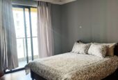 ADDIS ABABA: Furnished Apartment For Rent