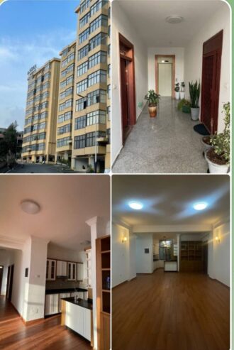 ADDIS ABABA: Furnished Apartment for Sale