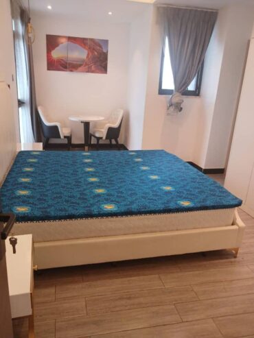 ADDIS ABABA; NEW fully furnished Apartment Ready for Rent