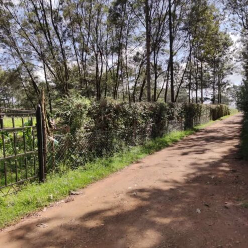 1/4 acre plot for sale at Sigona Valley Estate on Nairobi Nakuru highway, just before Tilisi-Limuru.
