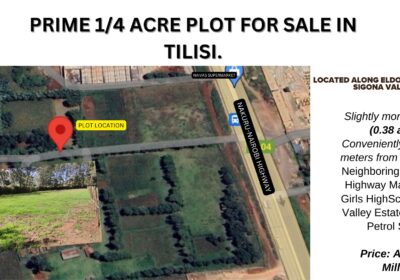 prime-land-for-sale-in-tilisi-kiambu-county